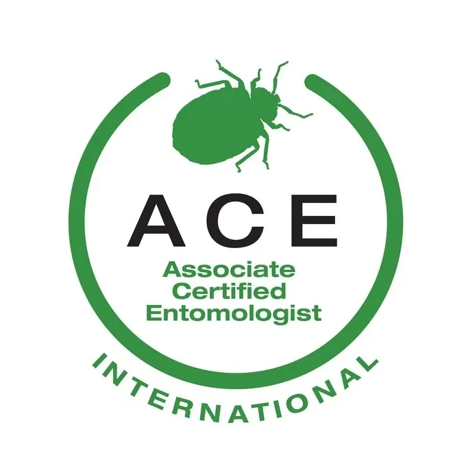 ACE International Logo